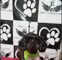 Foto enviada por Stefani Vreque na avaliação